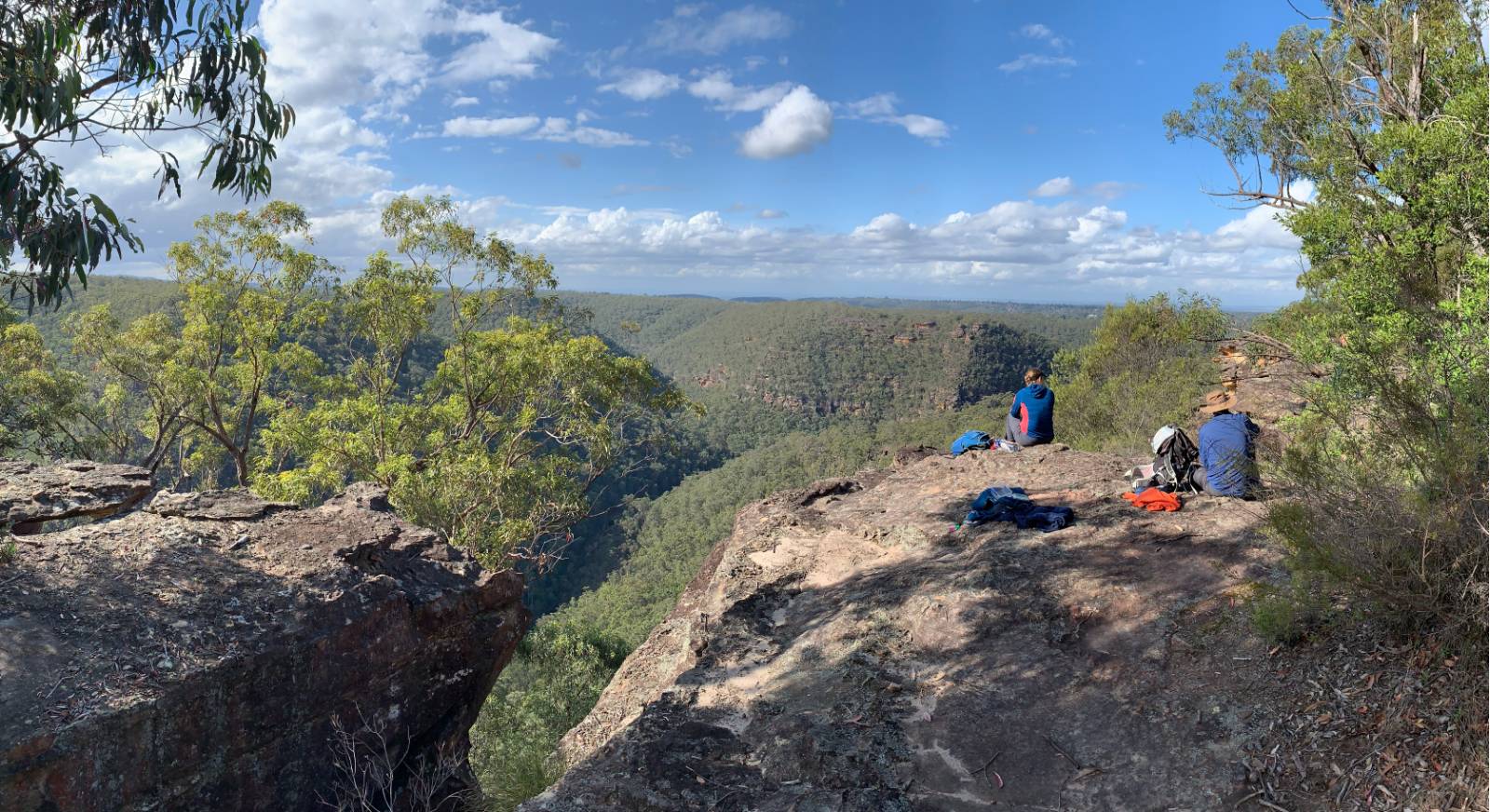 Lunching at the Lost World | <i>Michael Buggy</i>