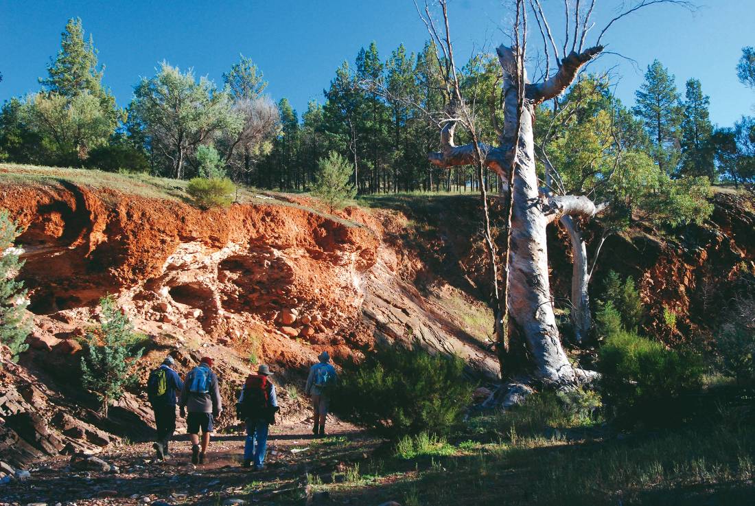Walkers on the Heysen Trail | <i>Chris Buykx</i>