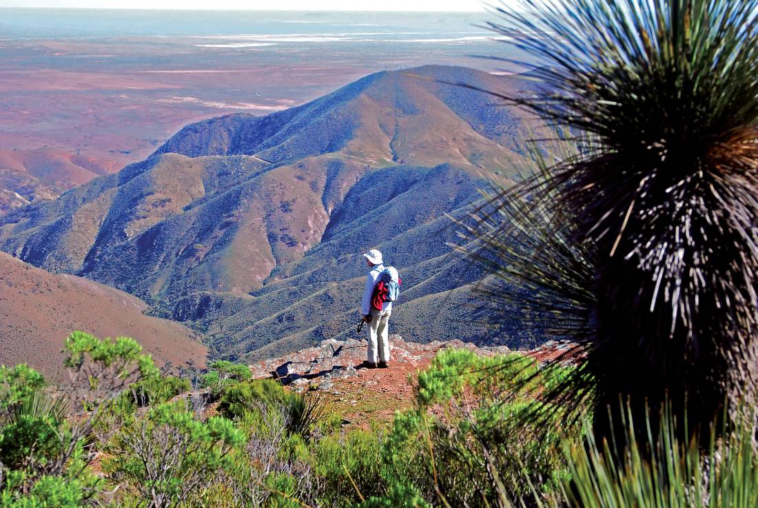 The summit of Dutchmans Stern is one of many highpoints in our Heysen Trail itinerary | <i>Chris Buykx</i>