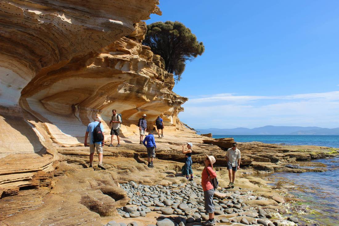 Explore Tasmania's Maria Island by foot | <i>Oscar Bedford</i>