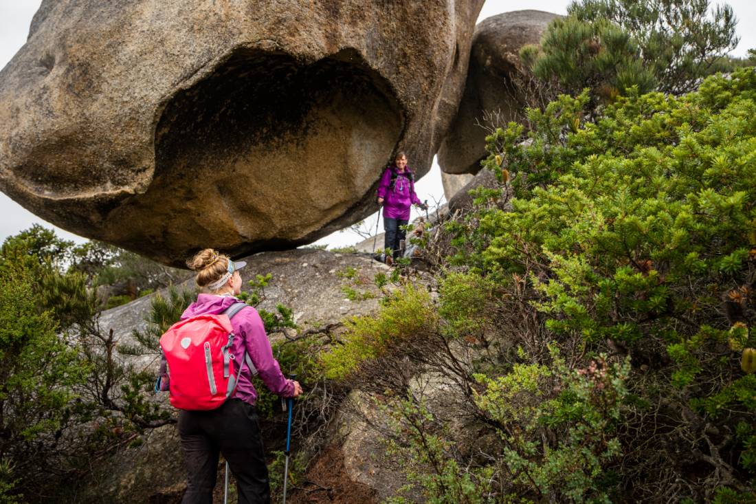Explore the magic of Flinders Island on a walking tour | <i>Lachlan Gardiner</i>