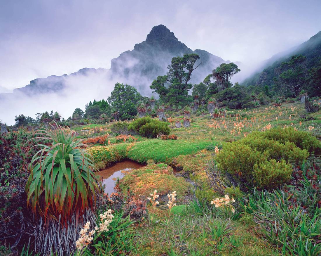 Mount Anne surrounded by mist | <i>Tourism Tasmania & Popp Hackner Photography</i>