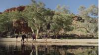 Our guide, Caitlin, explains that there is much more to the Larapinta Trail than most travellers expect. ------------------------------ Like this? Visit our websites: Trekking and guided tour information https://www.australianwalkingholidays.com.au https://www.LarapintaTrailWalks.com.au Find us on Facebook https://www.facebook.com/australianwalkingholidays Instagram: https://www.facebook.com/AustralianWalkingHolidays